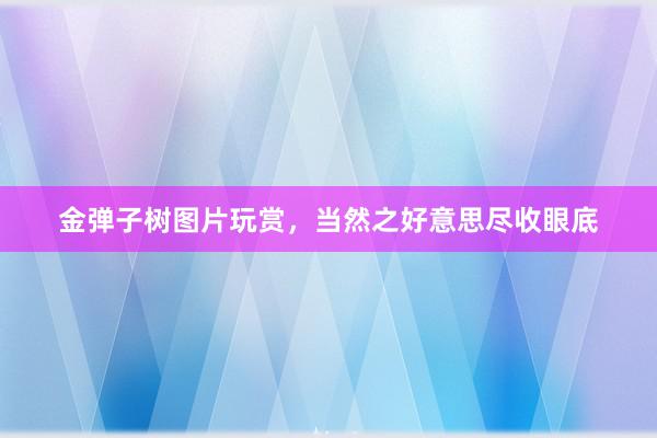 金弹子树图片玩赏，当然之好意思尽收眼底