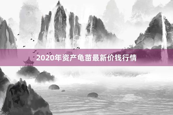 2020年资产龟苗最新价钱行情