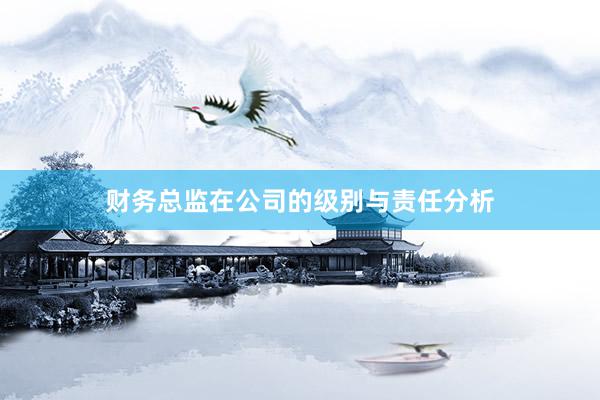 财务总监在公司的级别与责任分析