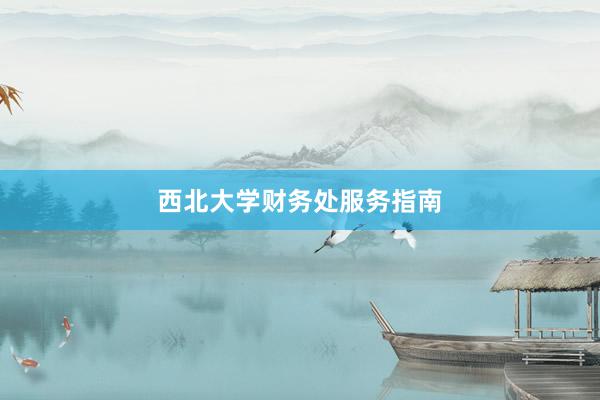 西北大学财务处服务指南